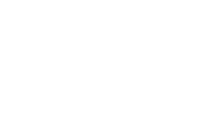 Icône - Compute Express Link (CXL) 1.1